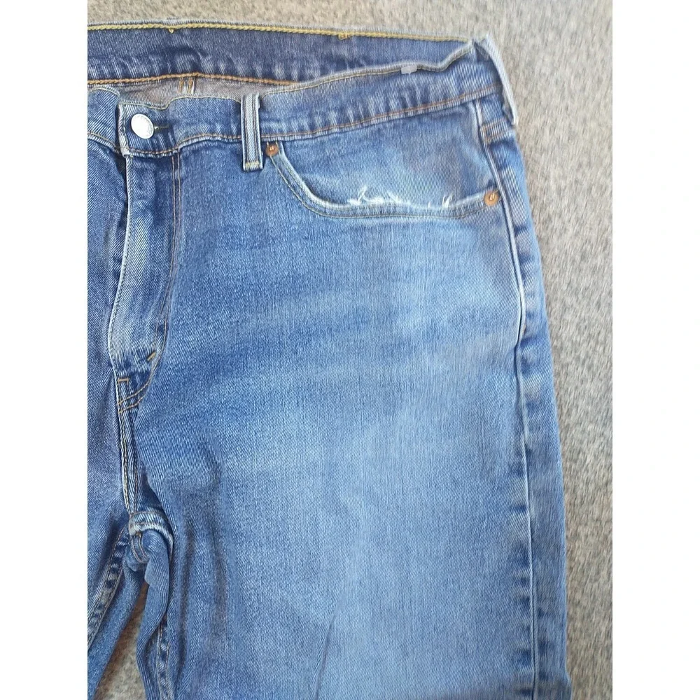 Levis levis 559